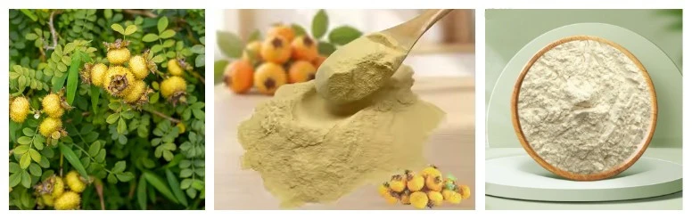 Rosa Roxburghii Extract.jpg Rosa Roxburghii Extract.jpg